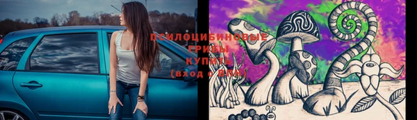 не бодяженный Абаза